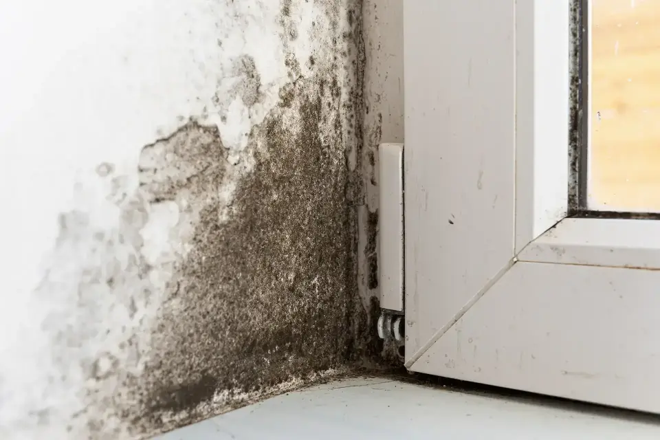 Bringing Calm to Your Toughest Property Emergencies — Peoria, AZ