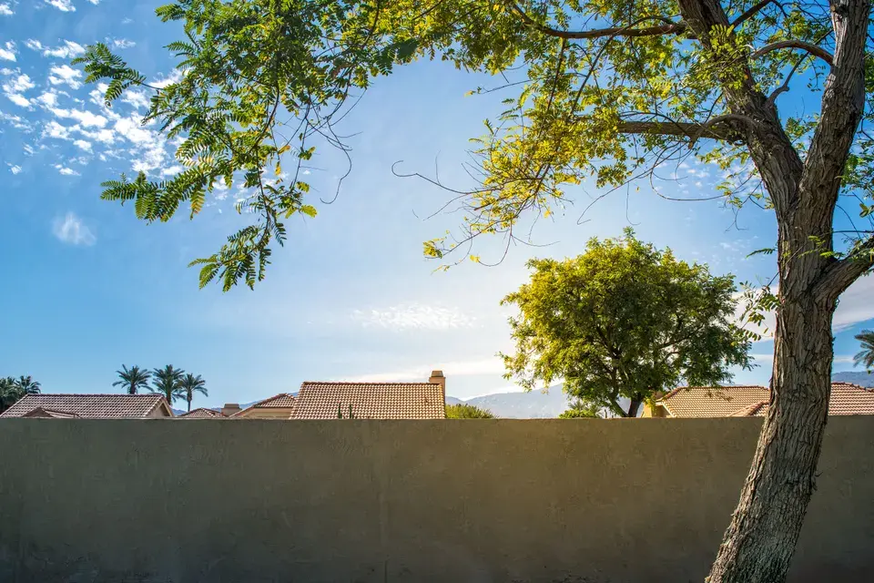 Water Damage Scottsdale